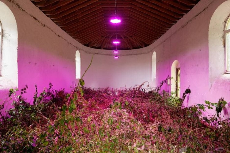 sca-destruction-de-luvre-derik-samakh-la-chapelle-des-ronces_erik-s.jpg