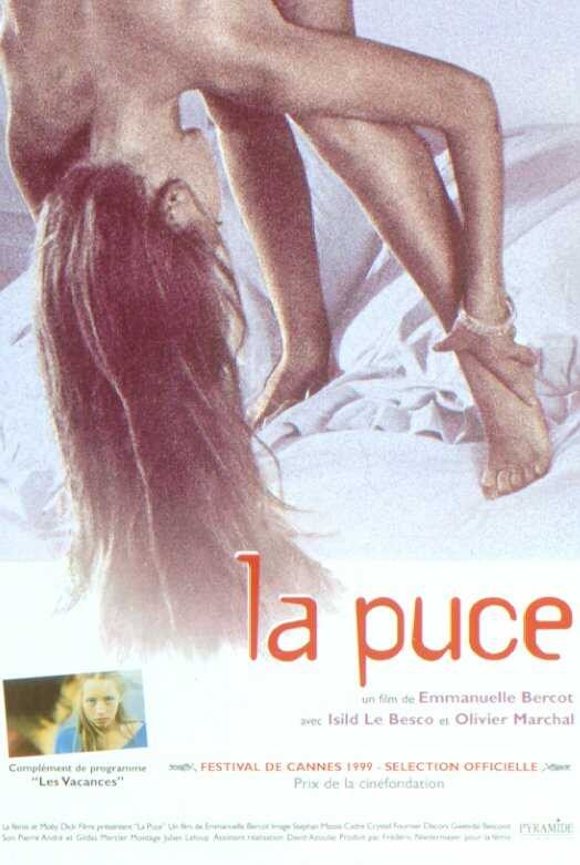 sca-michel-meyer_la-puce.jpg